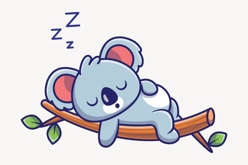 Cool Sleeping Panda
